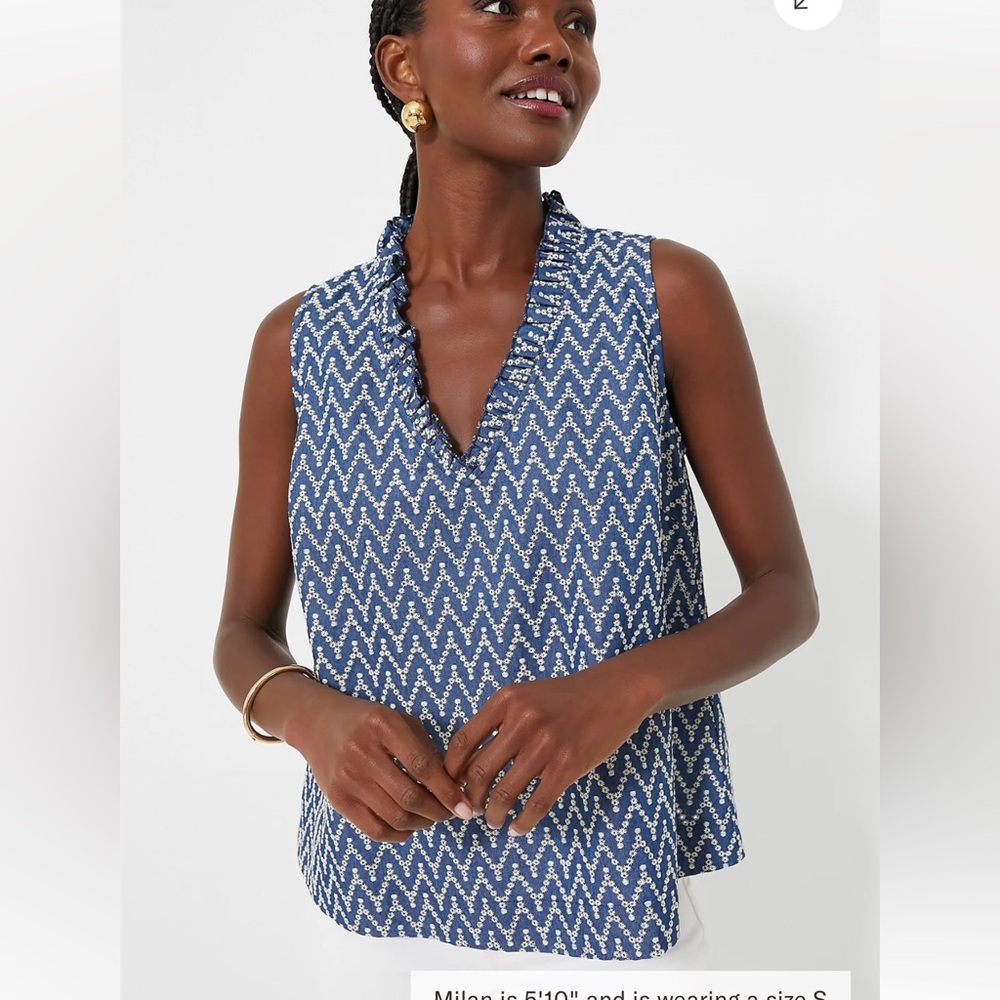 EUC Pomander Place Denim Stripe Veronica Top, Medium
